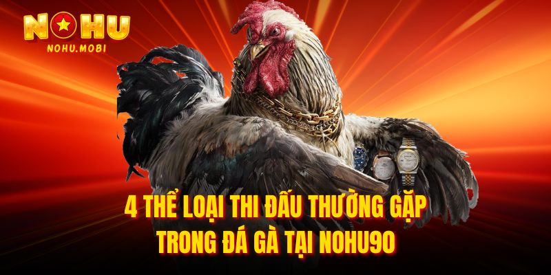 4 thể loại thi đấu thường gặp trong Đá gà tại Nohu90