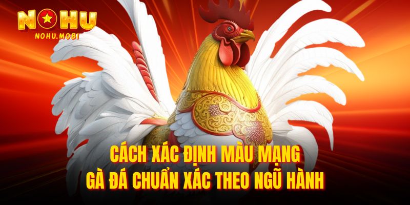 Cách xác định màu mạng gà đá chuẩn xác theo ngũ hành