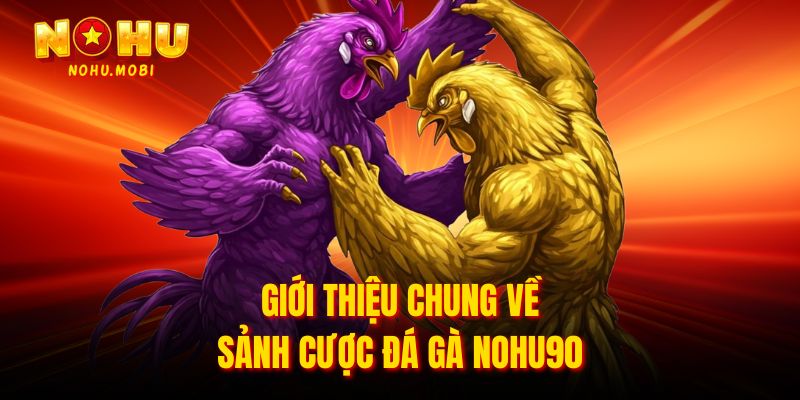 Giới thiệu chung về sảnh cược Đá gà Nohu90