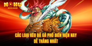 Các loại kèo đá gà phổ biến hiện nay