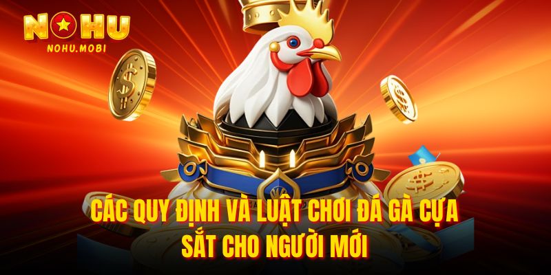 Các quy định và Luật chơi đá gà cựa sắt cho người mới