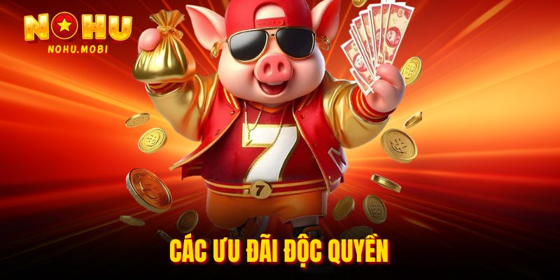 Các ưu đãi độc quyền
