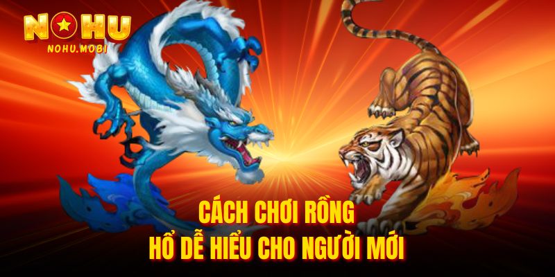 Cách chơi rồng hổ dễ hiểu cho người mới