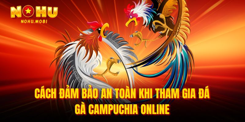 Cách đảm bảo an toàn khi tham gia đá gà Campuchia online