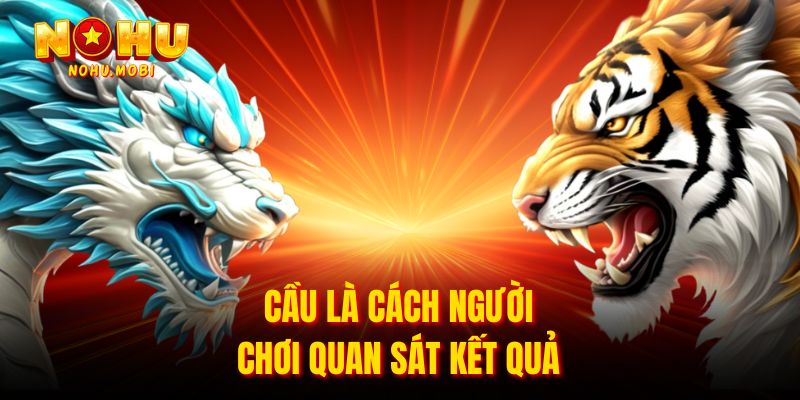 Cầu là cách người chơi quan sát kết quả