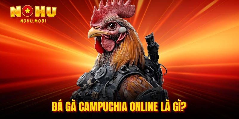 Đá gà Campuchia online là gì?