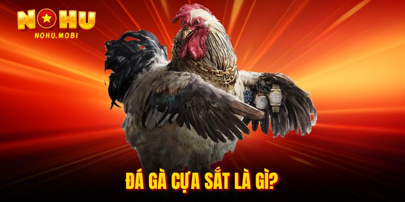 Đá gà cựa sắt là gì?