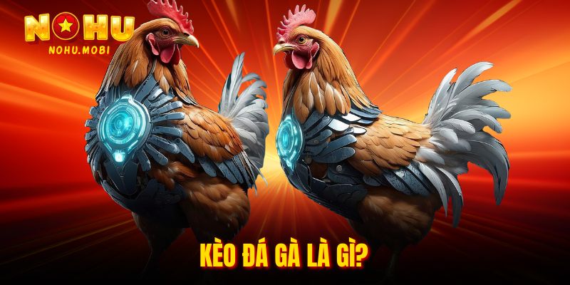 Kèo đá gà là gì?