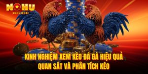 Kinh nghiệm xem kèo đá gà hiệu quả