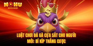 Luật chơi đá gà cựa sắt
