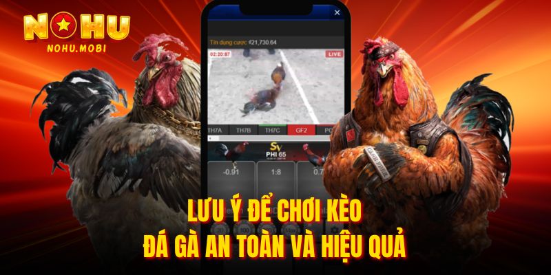 Lưu ý để chơi kèo đá gà an toàn và hiệu quả