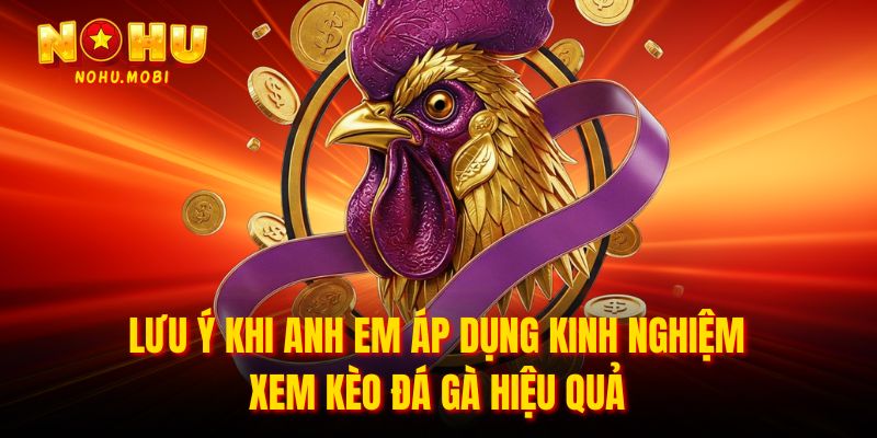 Lưu ý khi anh em áp dụng kinh nghiệm xem kèo đá gà hiệu quả