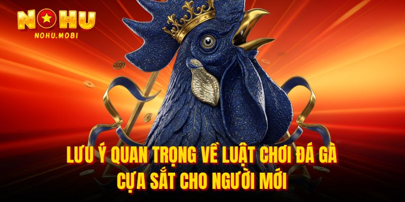 Lưu ý quan trọng về luật chơi đá gà cựa sắt cho người mới