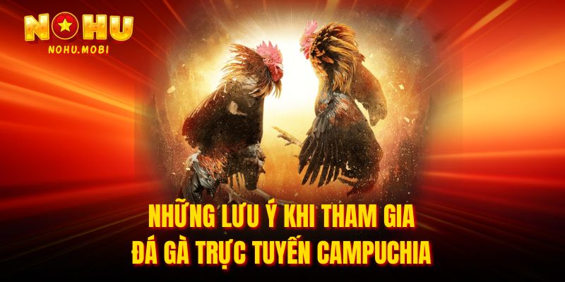 Những lưu ý khi tham gia đá gà trực tuyến Campuchia