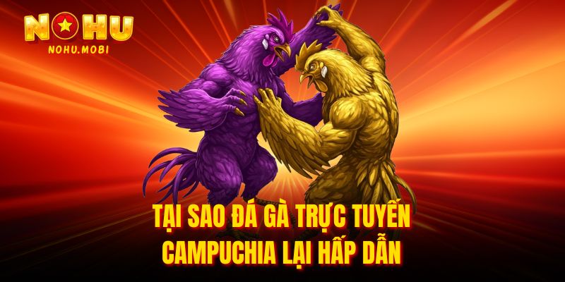 Tại sao đá gà trực tuyến Campuchia lại hấp dẫn