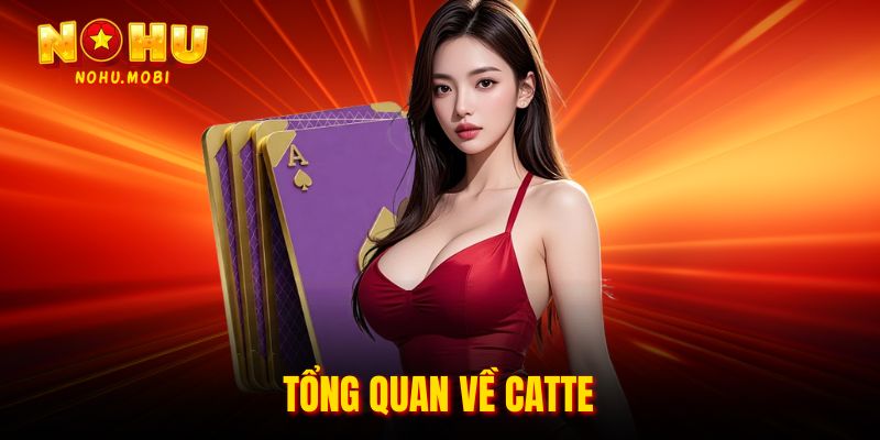 Tổng quan về catte
